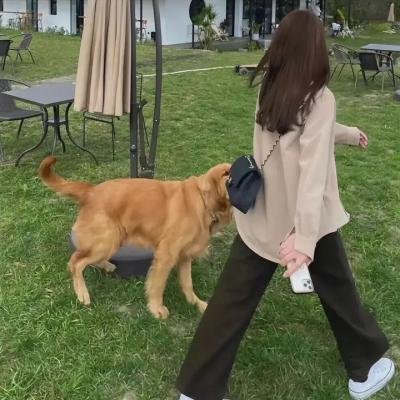 男人转化出机器人铠装